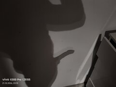 2539.jpg