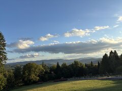 IMG_6695.jpeg