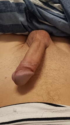 457.jpg