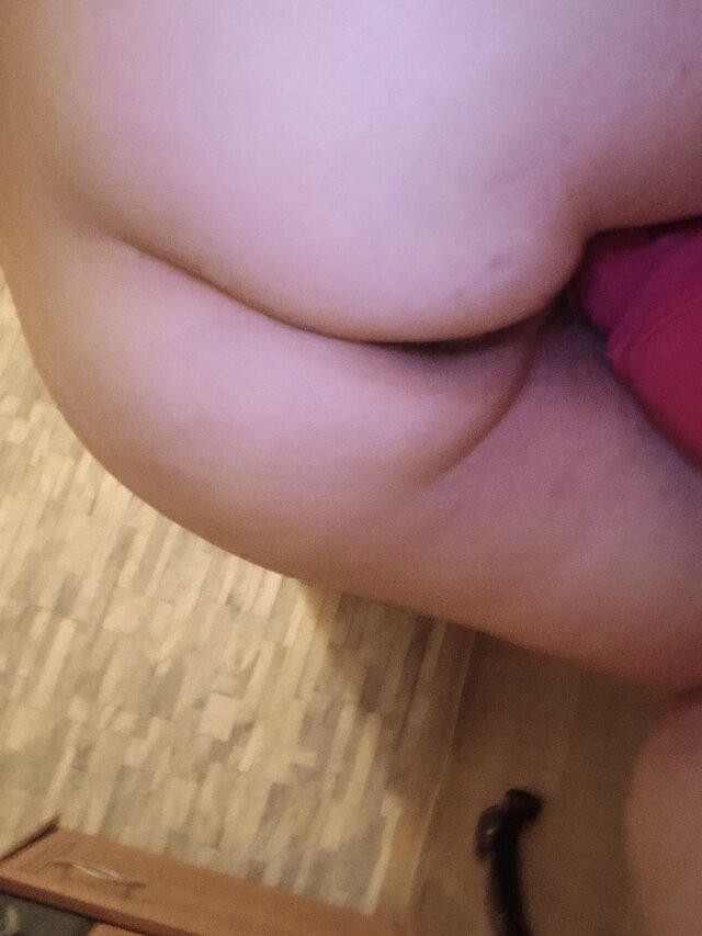 Kocica4