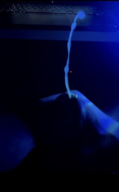 IMG_5414.jpeg