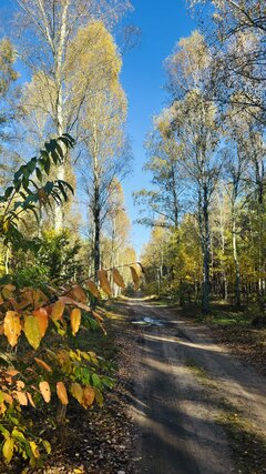 IMG_7061.jpeg