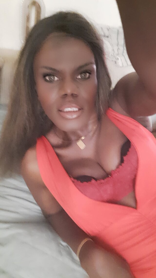 OniJegoTrans