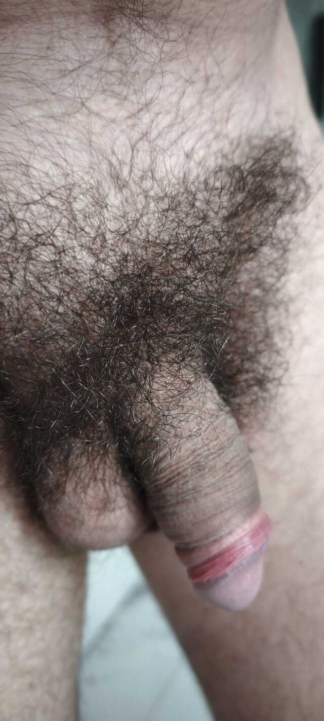 normalny3