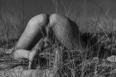 _M8A0790_2.JPG
