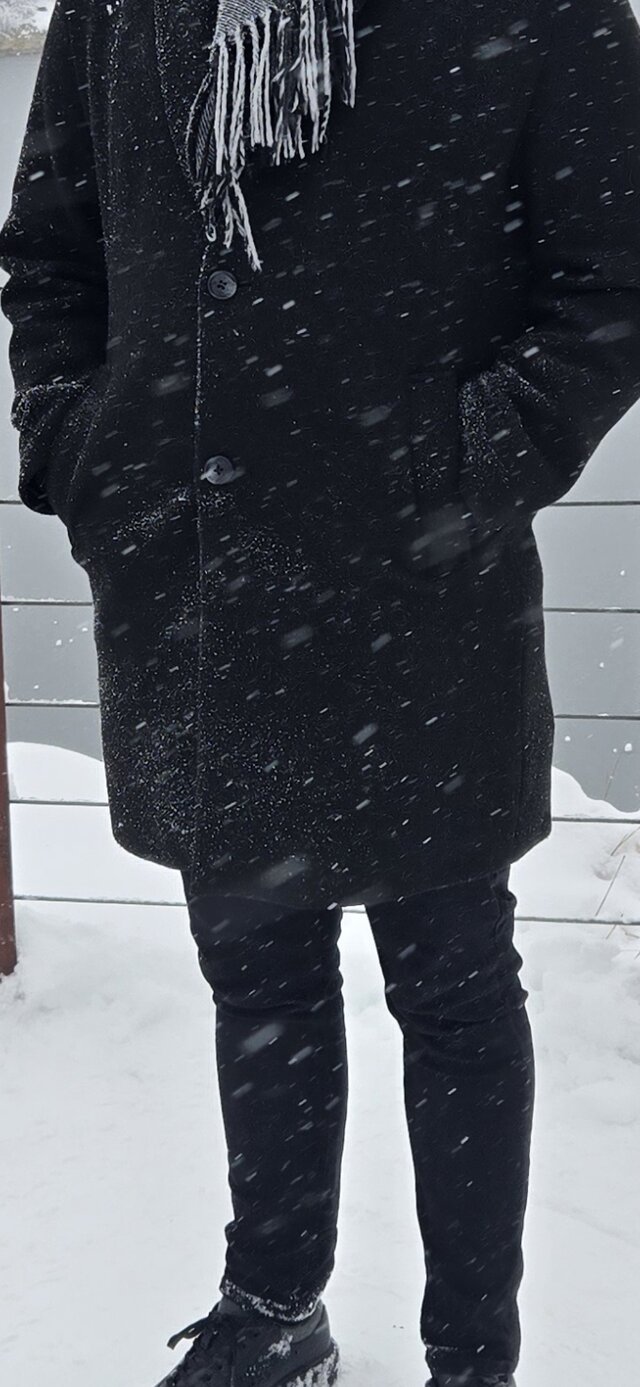 Bogus250v2