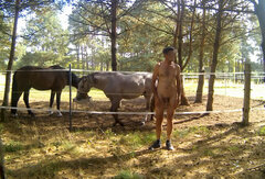 przy koniach 20260920_1123.mp4_snapshot_01.4