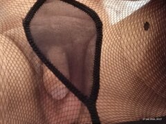 IMG_20261027_202745043.jpg