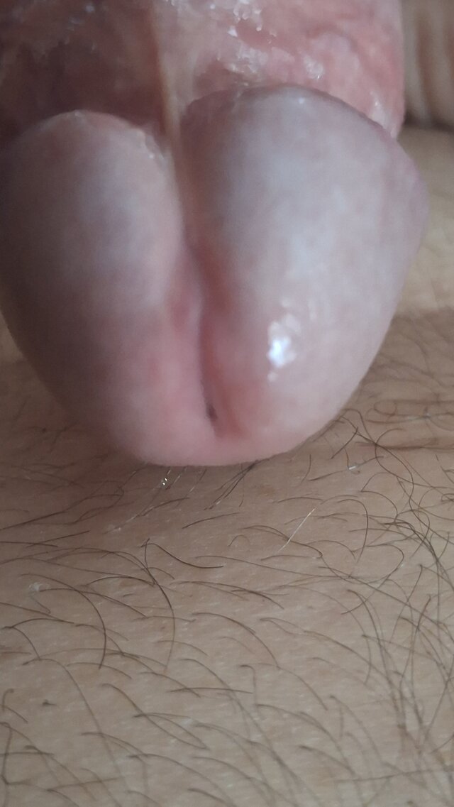 mar_nn40